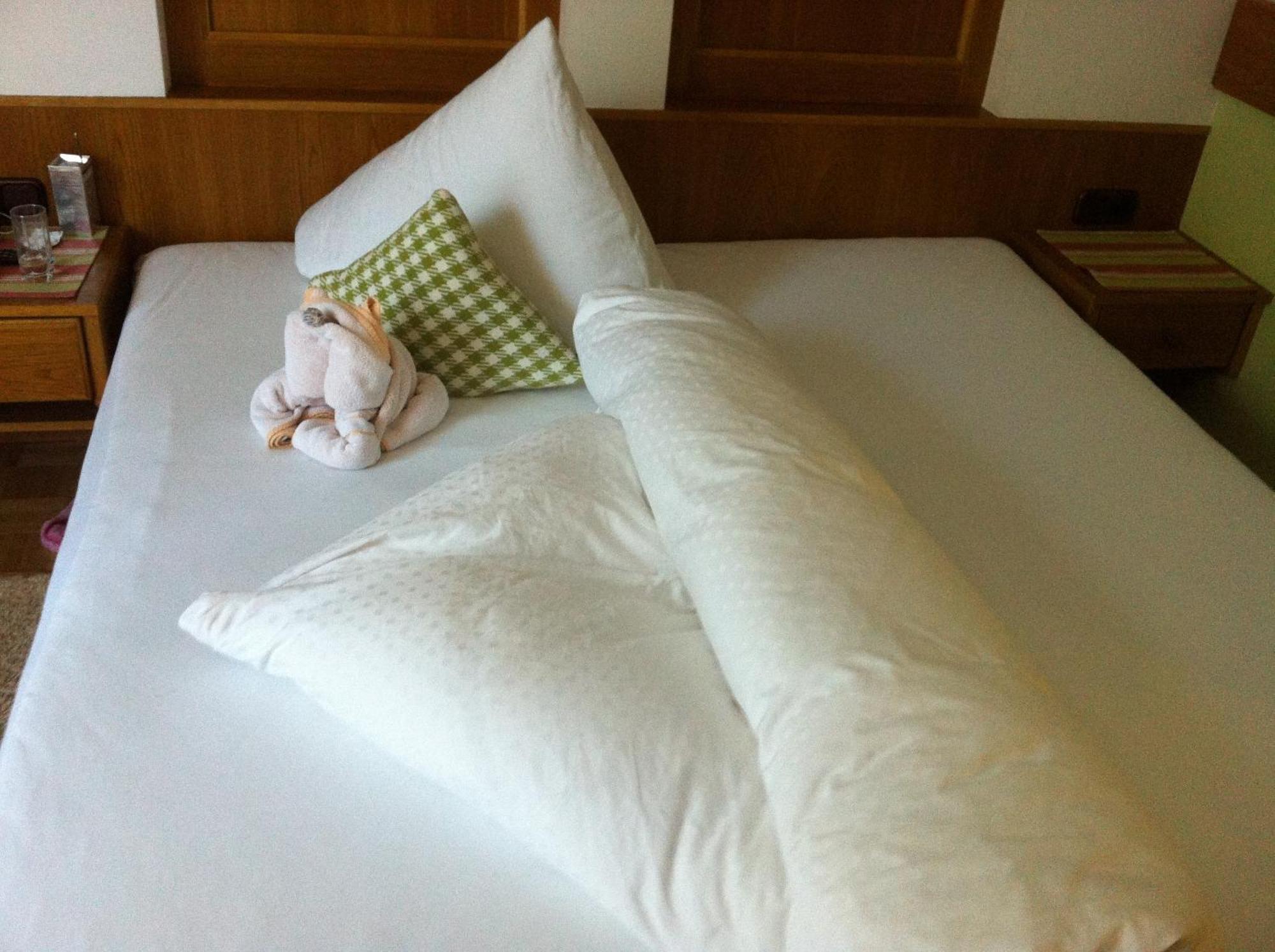 Alpin Hotel Garni Eder - Private Living Mayrhofen Rom bilde